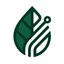 BlackMint Studio logo — technology and creative digital studio